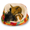 Super Pet Cuddle-E-Cup